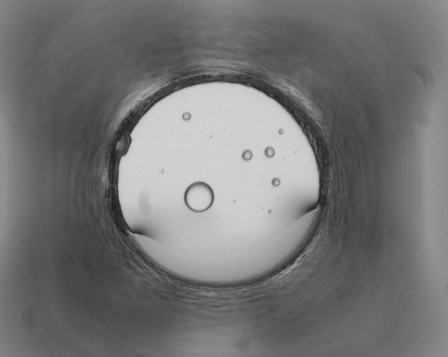 X0000112411261200909251448
