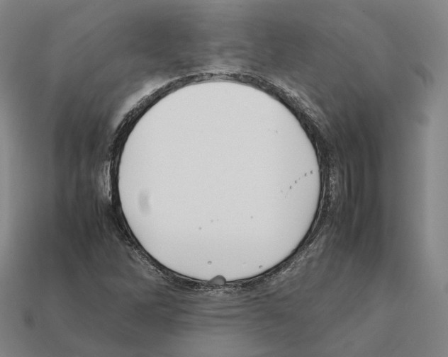 X0000112411262200909251448