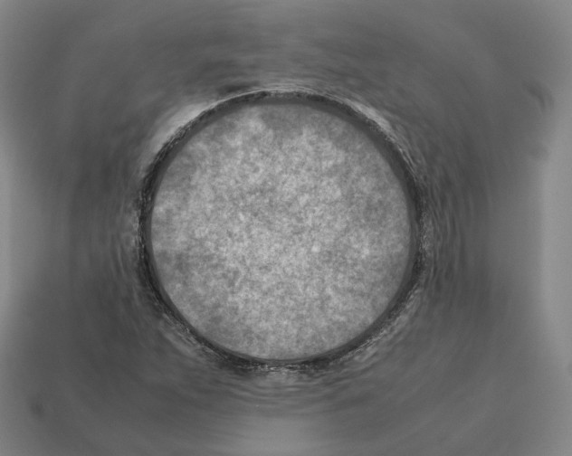 X0000112411263200909251448