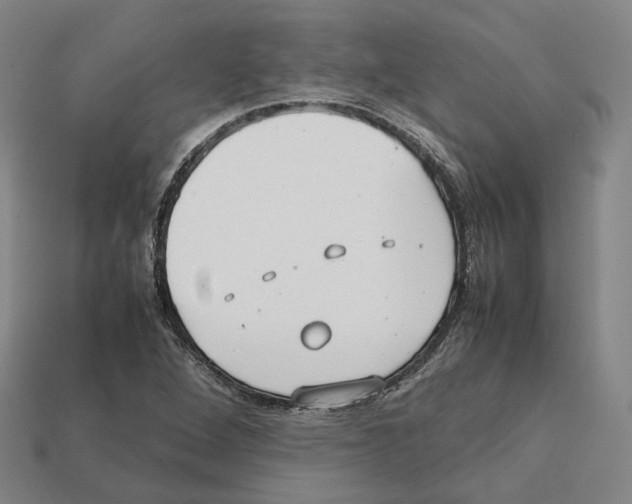 X0000112411264200909251448