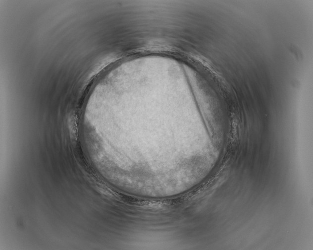 X0000112411266200909251448
