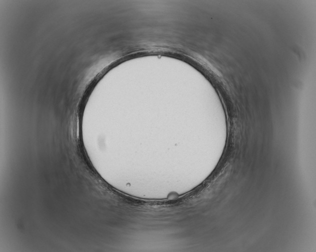 X0000112411269200909251448