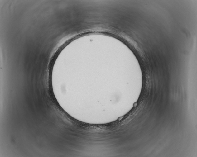 X0000112411270200909251448