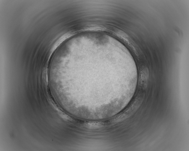 X0000112411274200909251448