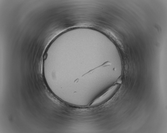 X0000112411276200909251448