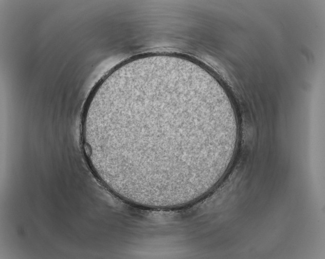 X0000112411277200909251448