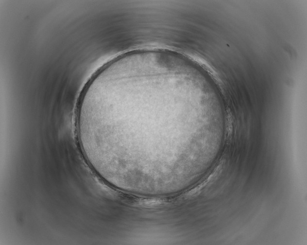 X0000112411278200909251448