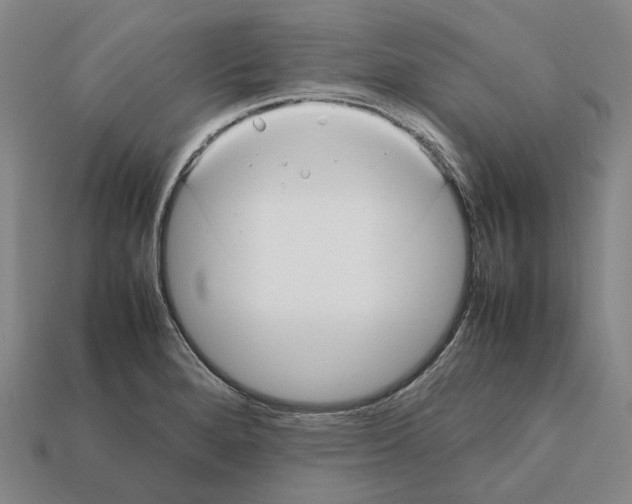 X0000112411280200909251448