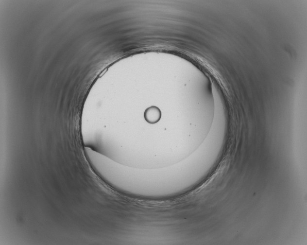 X0000112411281200909251448