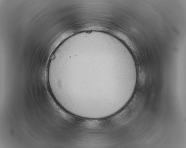 X0000112411282200909251448