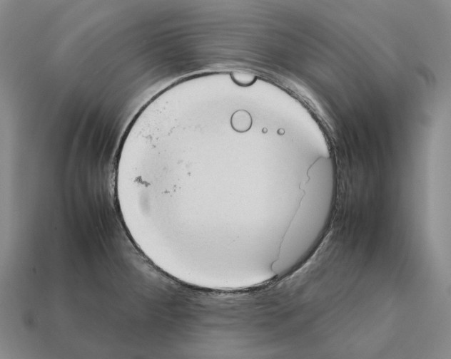 X0000112411284200909251448