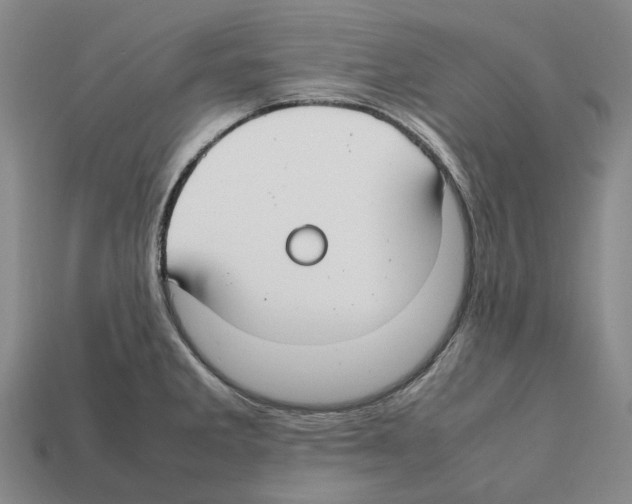 X0000112411285200909251448