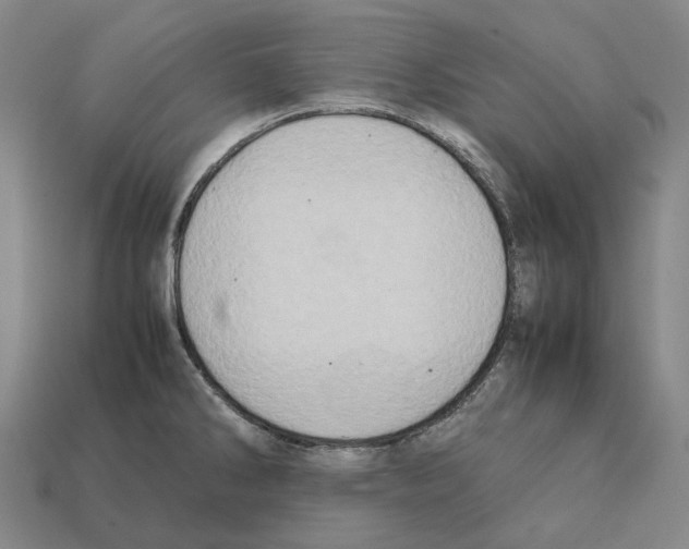 X0000112411286200909251448