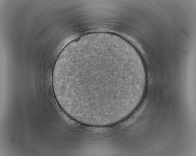 X0000112411289200909251448