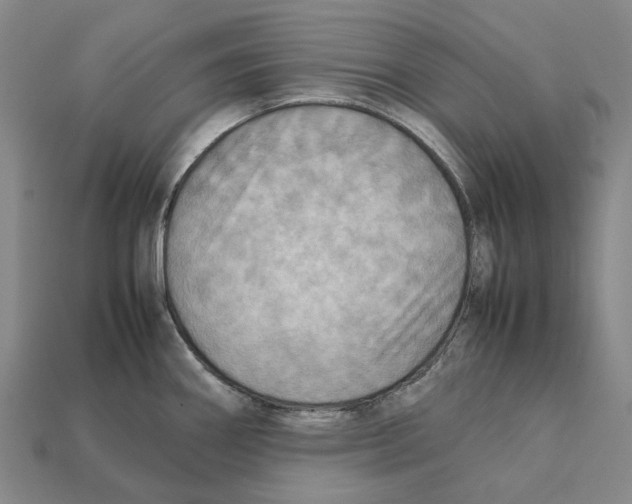 X0000112411290200909251448