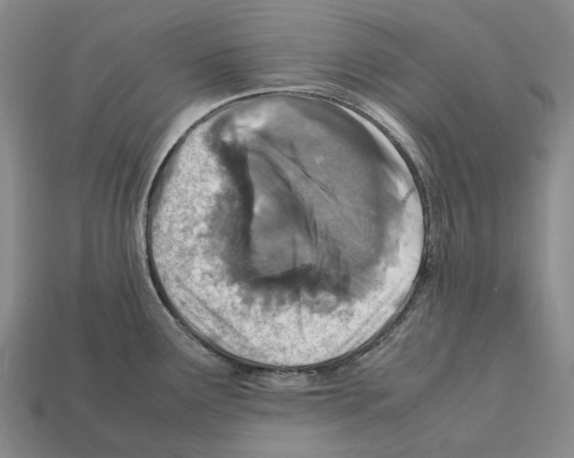 X0000112411291200909251448