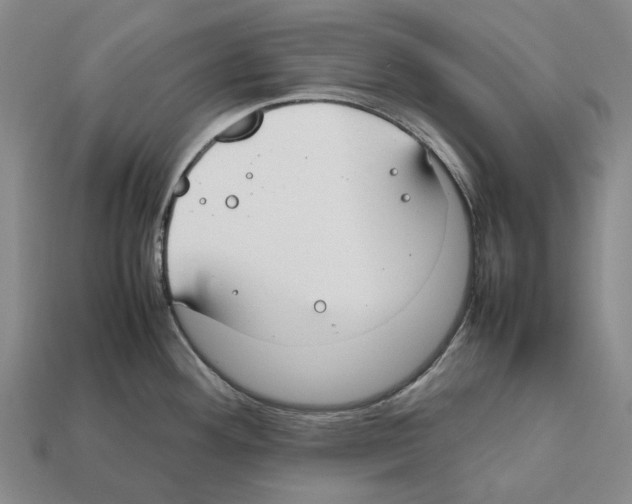 X0000112411292200909251448