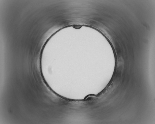 X0000112411293200909251448