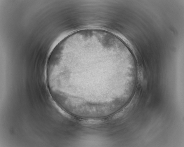 X0000112411294200909251448