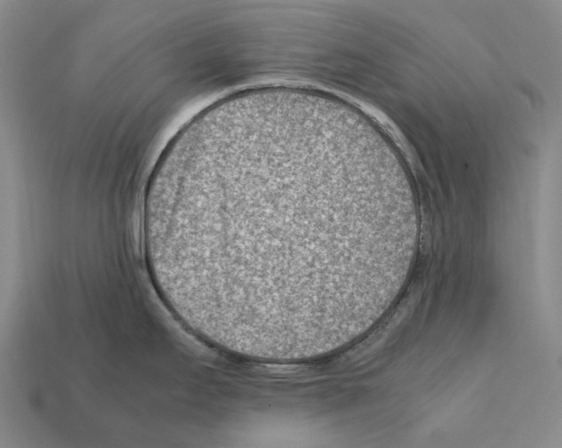 X0000112411295200909251448