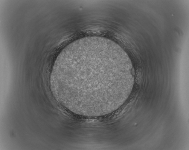 X0000112411297200909251447