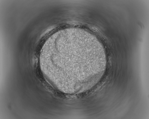 X0000112411302200909251447