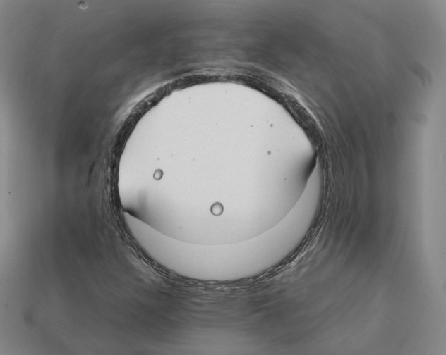 X0000112411304200909251448
