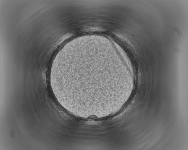 X0000112411305200909251448