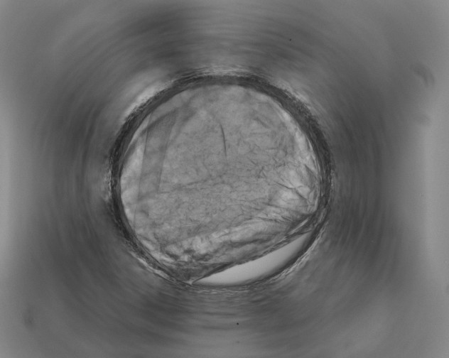 X0000112411306200909251448