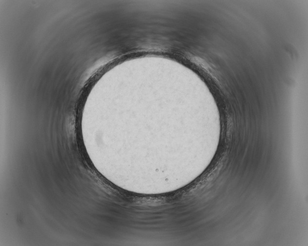 X0000112411307200909251448