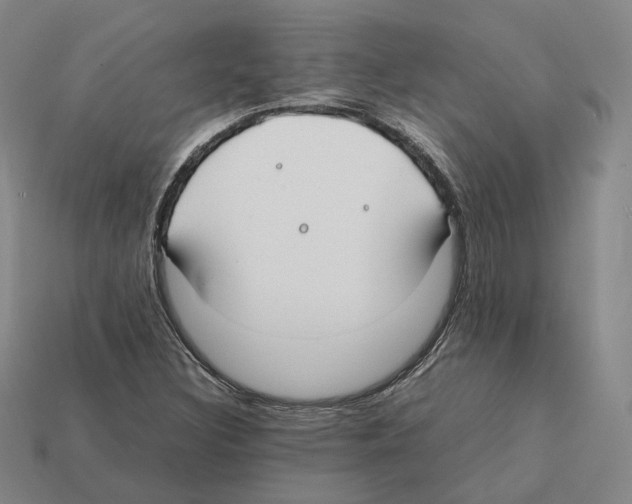 X0000112411308200909251448