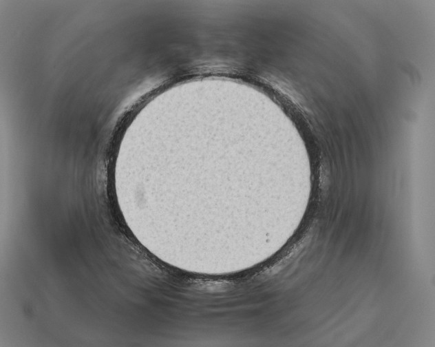 X0000112411309200909251448