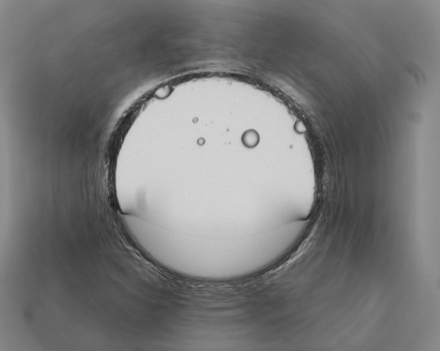 X0000112411310200909251448