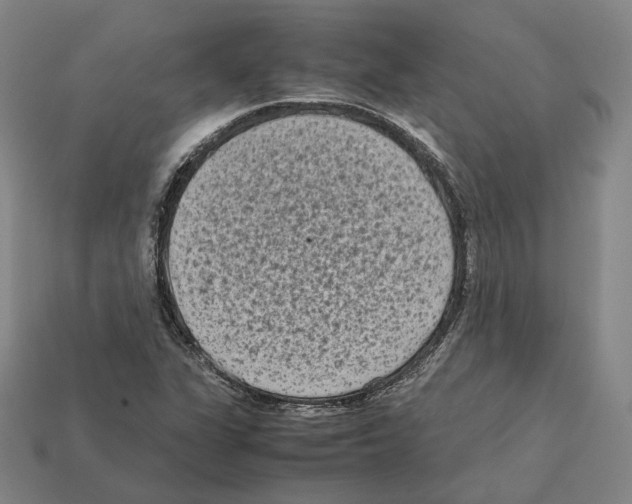 X0000112411311200909251448