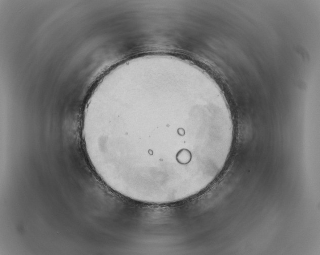 X0000112411314200909251448