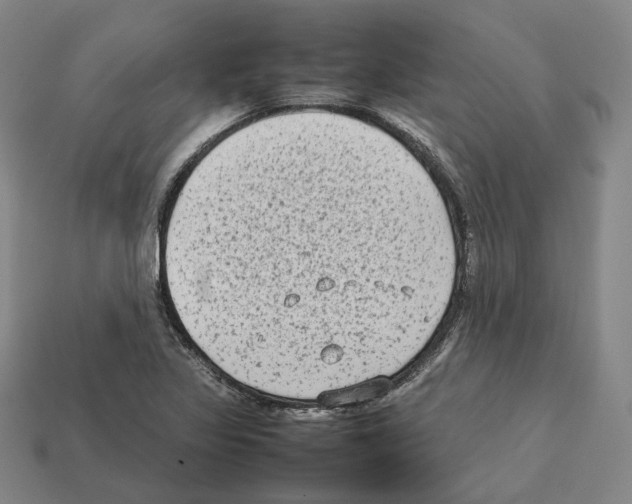 X0000112411317200909251448
