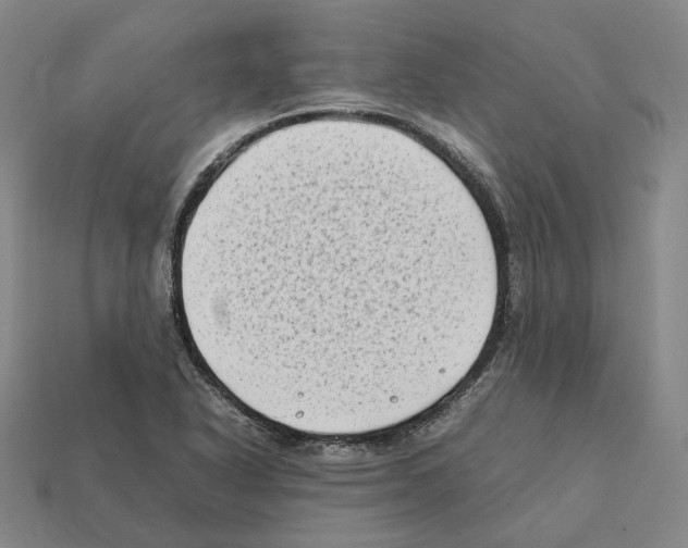 X0000112411318200909251448