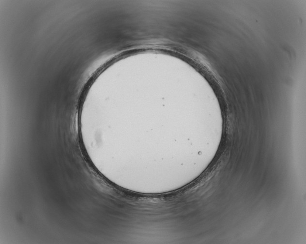 X0000112411320200909251448