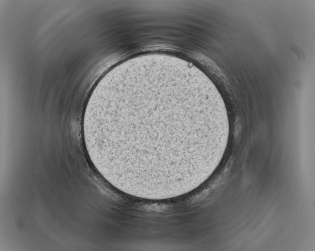 X0000112411321200909251448