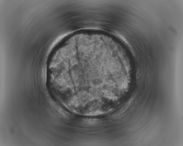 X0000112411323200909251448