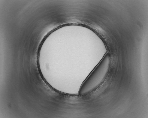 X0000112411326200909251448