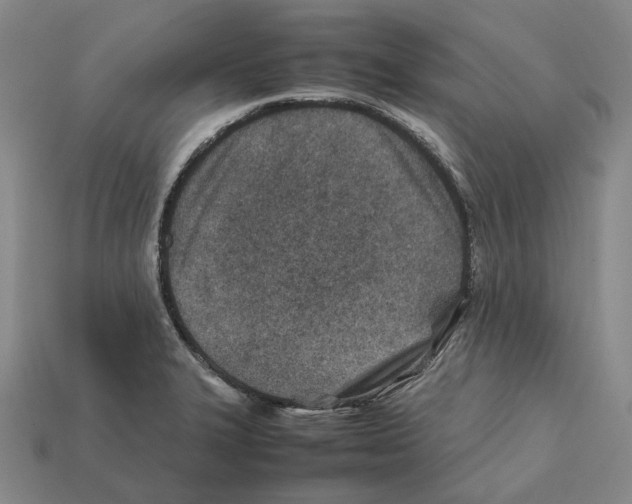 X0000112411327200909251448