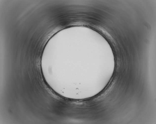 X0000112411329200909251448