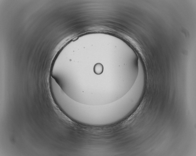 X0000112411330200909251448