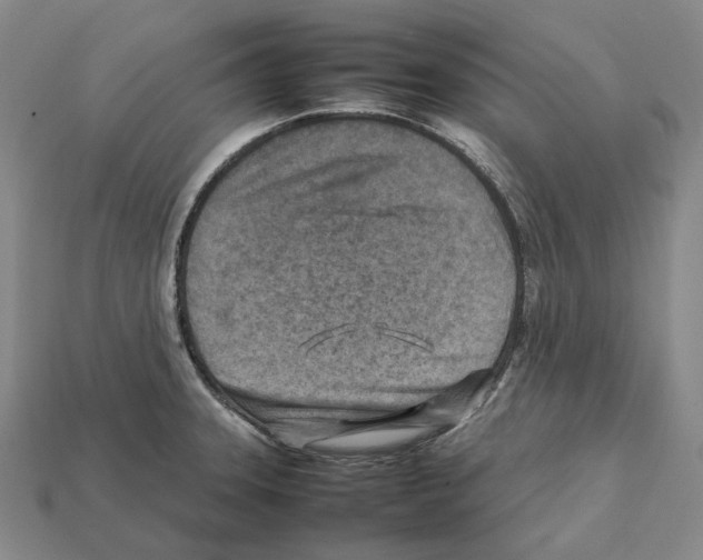 X0000112411331200909251448