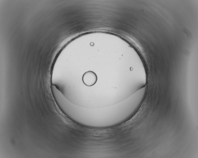 X0000112411332200909251448