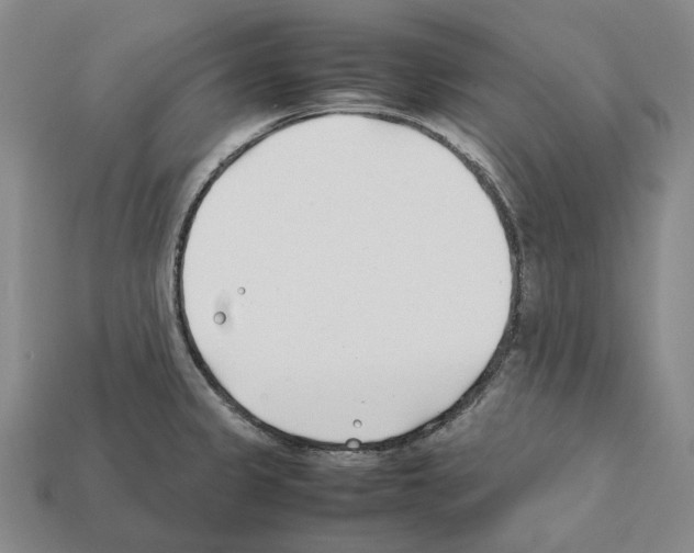 X0000112411333200909251448