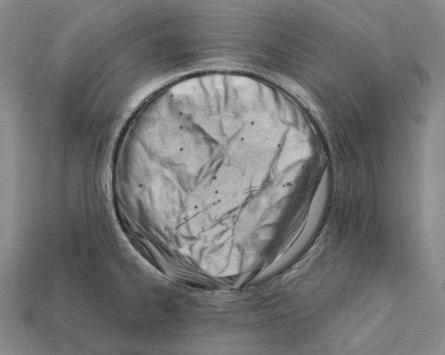 X0000112411334200909251448