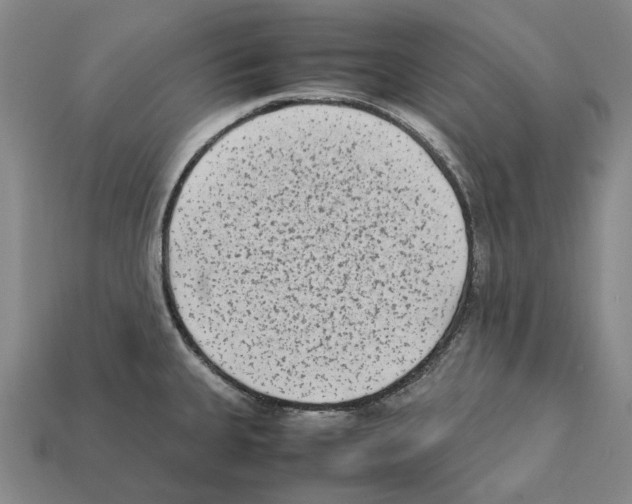 X0000112411335200909251448
