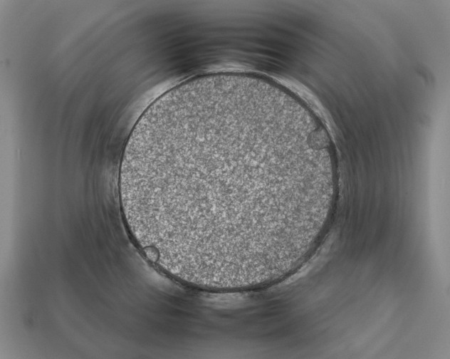 X0000112411337200909251448